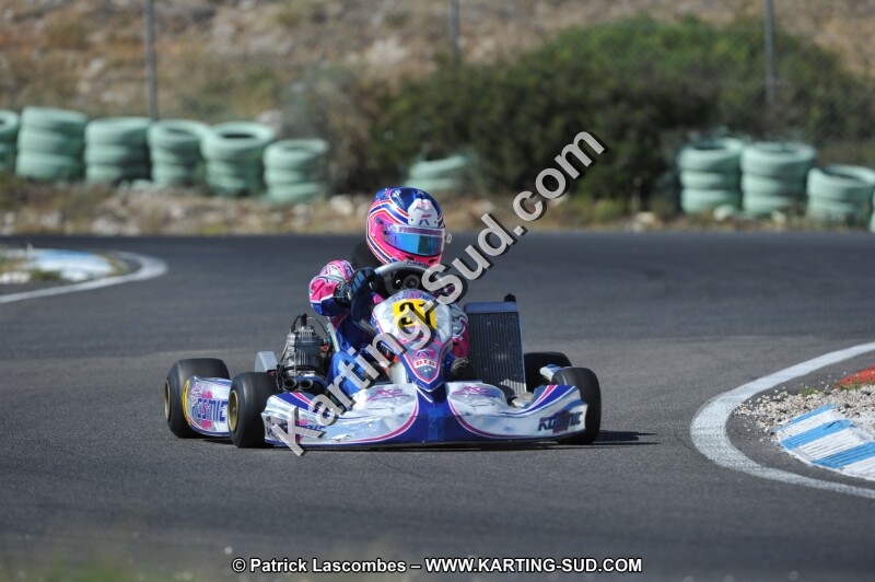 DSC (991).JPG